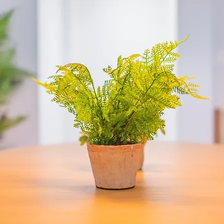 Apartment Arrokagain *